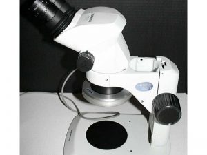 Olympus SZ-61 Stereozoom Microscope