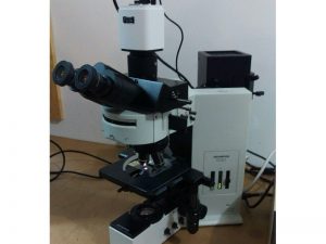 Olympus BX 60 Fluorescence Microscope