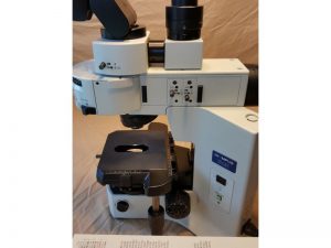 Olympus BX41 Fluorescence Microscope