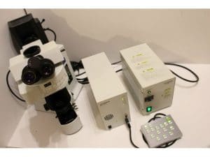 Olympus BX61 Fluorescent Microscope