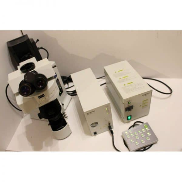 Olympus BX61 Fluorescent Microscope