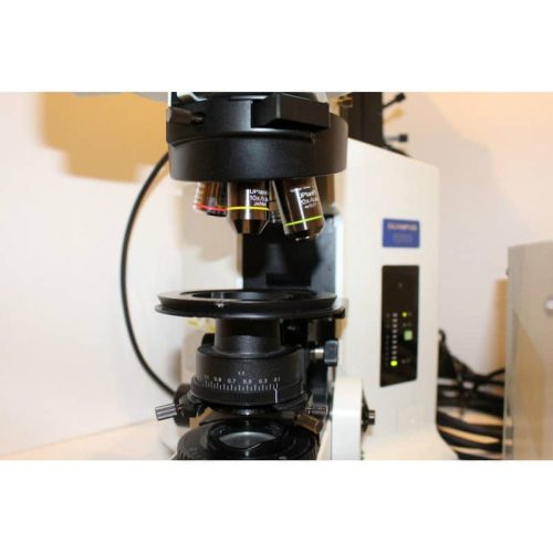 Olympus BX61 Fluorescent Microscope