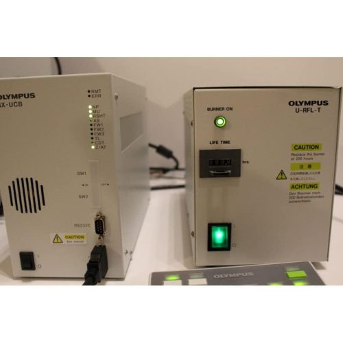 Olympus BX61 Fluorescent Microscope