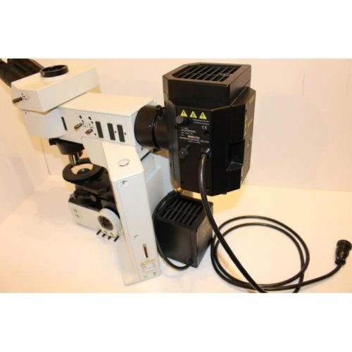 Olympus BX61 Fluorescent Microscope