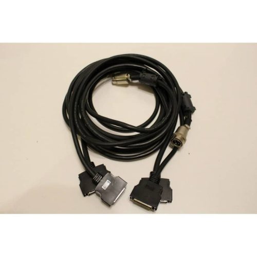 Olympus BX61 Fluorescent Microscope