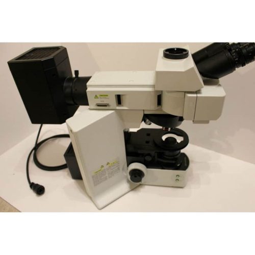 Olympus BX61 Fluorescent Microscope