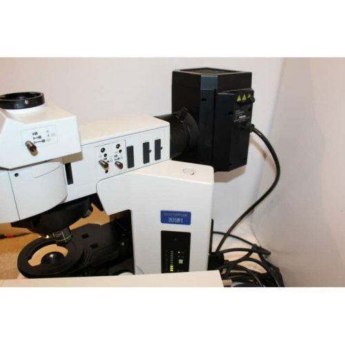 Olympus BX61 Fluorescent Microscope