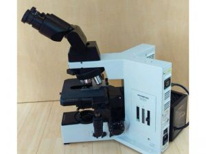 Olympus BX-50 Fluorescence Microscope