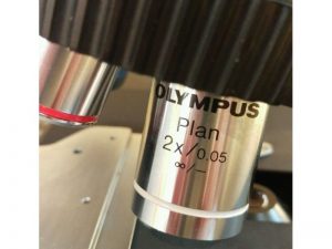 Olympus BX-50 Fluorescence Microscope