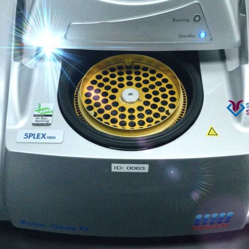Qiagen Rotor Gene Q For Sale